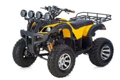 Лот: 20622743. Фото: 1. Квадроцикл RAPTOR Max Pro 250... Снегоходы, квадроциклы