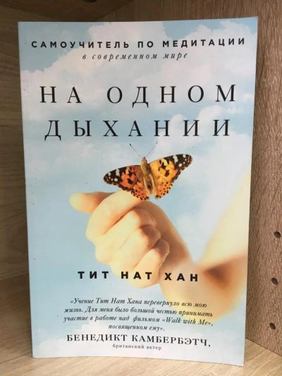 Лот: 10749712. Фото: 1. Тит Нат Хан "На одном дыхании... Религия, оккультизм, эзотерика