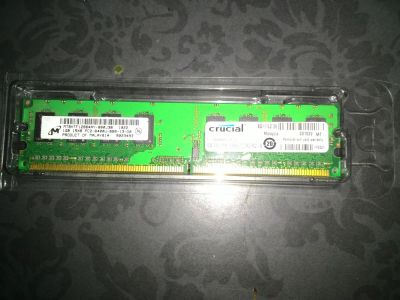 Лот: 9340856. Фото: 1. 1Gb Crucial PC2-6400. Оперативная память