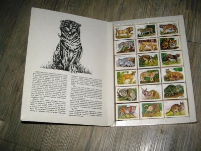 Лот: 4952552. Фото: 1. набор спичек,такие разные кошки. Другое (коллекционирование, моделизм)