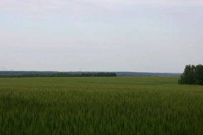 Лот: 7790310. Фото: 1. Участок для фермера. Земельные участки