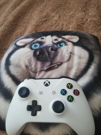 Лот: 16190863. Фото: 1. Куплю не исправный гемпад от xbox... Аксессуары для игровых приставок, консолей, геймпады