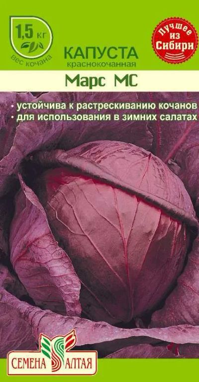 Лот: 11017077. Фото: 1. Семена капусты краснокочанной... Овощи