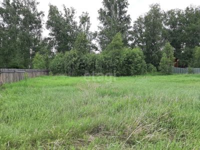 Лот: 25296798. Фото: 1. участок , ДНТ Озерки-3 ДНТ Озерки-3... Земельные участки