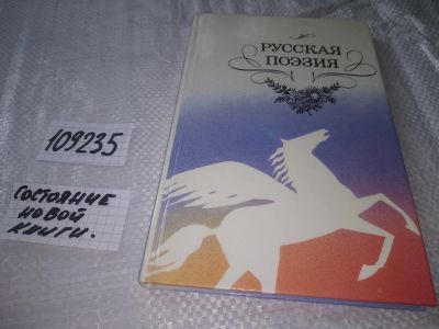 Лот: 20840005. Фото: 1. (109235) Русская поэзия ... Книга... Художественная для детей