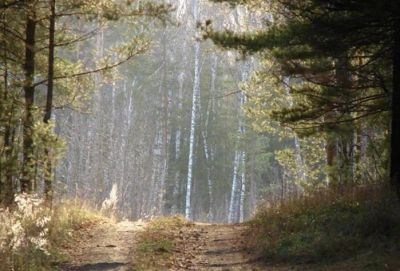 Лот: 6275728. Фото: 1. Земельный участок с домиком и... Дачи
