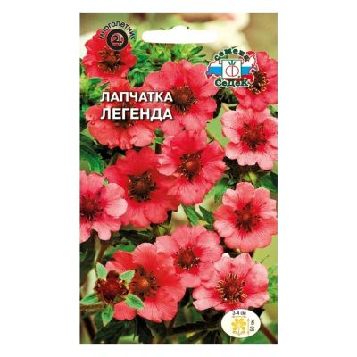 Лот: 24100850. Фото: 1. Семена Цветы, Лапчатка, Легенда... Другое (семена, рассада, садовые растения)