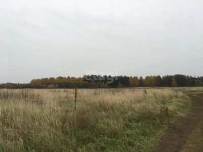 Лот: 25292626. Фото: 1. участок , Сосновоборск Сосновоборск... Земельные участки