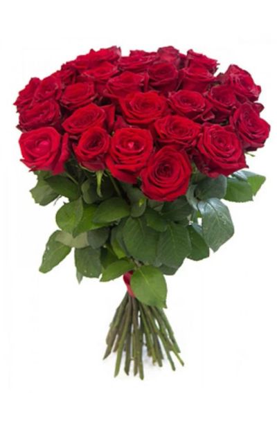 Лот: 3930728. Фото: 1. Букет из 25 красных красивых свежих... Свежие цветы