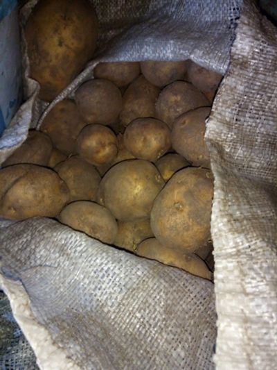 Лот: 16433076. Фото: 1. Картофель хороший прошлогодний. Картофель