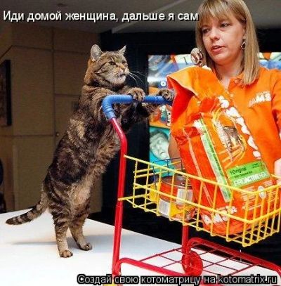 Лот: 11069097. Фото: 1. пакет новой продукции для кошки... Подарки на 8 марта