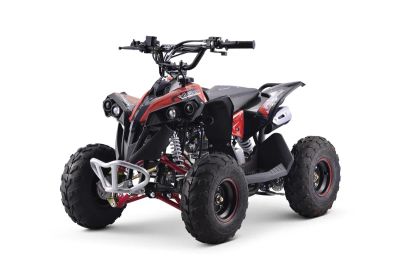 Лот: 25363223. Фото: 1. Квадроцикл YACOTA RENEGADE MINI. Снегоходы, квадроциклы
