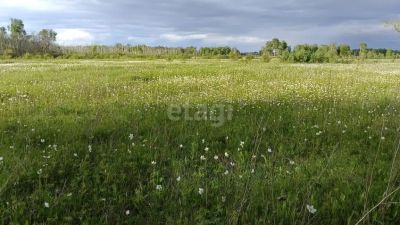 Лот: 25296105. Фото: 1. участок , посёлок Берёзовая Роща... Земельные участки