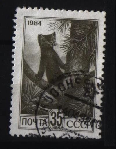 Лот: 6693474. Фото: 1. СССР 1981 соболь. Марки