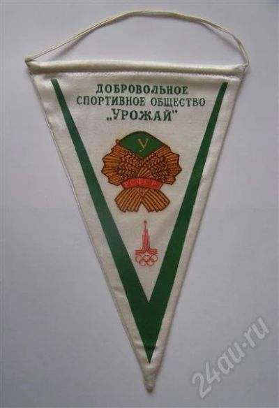 Лот: 532553. Фото: 1. Вымпел. Добровольное спортивное... Другое (коллекционирование, моделизм)