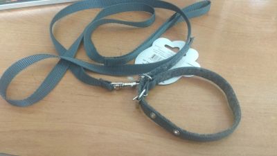 Лот: 16325439. Фото: 1. Комплект Зооник стропа поводок... Ошейники, одежда, конное снаряжение
