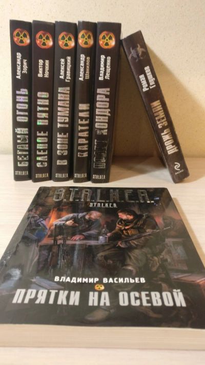 Лот: 12526414. Фото: 1. Серия книг stalker. Художественная
