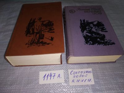 Лот: 19012172. Фото: 1. А. Иванов, Вечный зов (к-кт из... Художественная