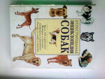 Лот: 3068369. Фото: 1. Иллюстрированная энциклопедия... Энциклопедии