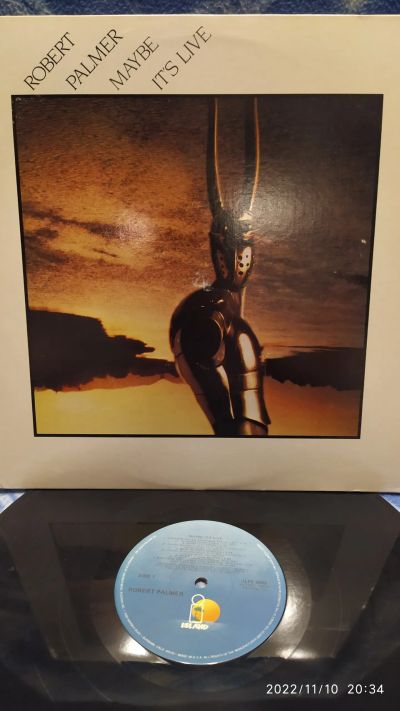 Лот: 19608783. Фото: 1. Винил: Robert Palmer 1982(Island... Аудиозаписи