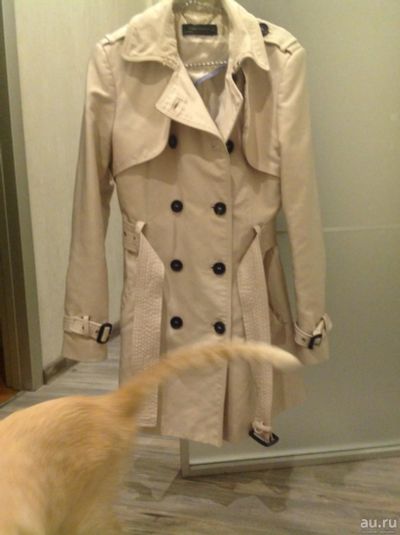 Лот: 10042629. Фото: 1. Продам тренч Zara. Верхняя одежда