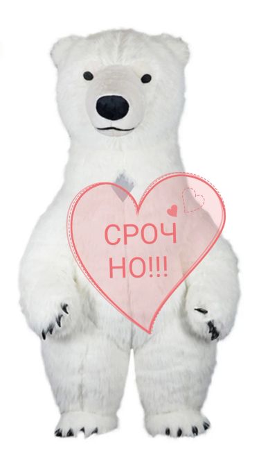 Лот: 18376946. Фото: 1. Костюм ростового медведя. Взрослые карнавальные костюмы