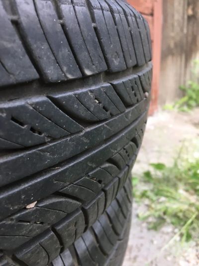 Лот: 16145123. Фото: 1. Falken Sincera SN-828 175/70 R14. Шины на дисках