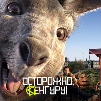 Лот: 24290279. Фото: 1. Осторожно, Кенгуру!. Видеозаписи, фильмы