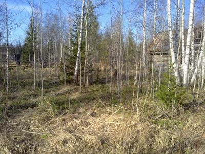 Лот: 1852428. Фото: 1. Практически даром участок на ст... Земельные участки
