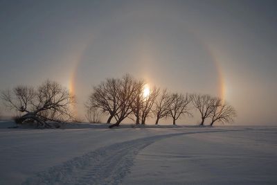 Лот: 3571175. Фото: 1. тоже самое. Пневматическое оружие