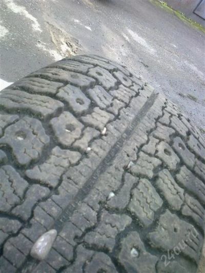 Лот: 1274281. Фото: 1. Gislaved Nord Frost II 205/55... Шины