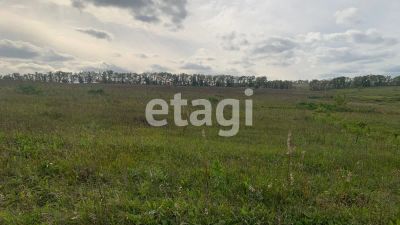 Лот: 25296553. Фото: 1. участок , посёлок Солонцы посёлок... Земельные участки