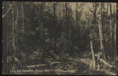 Лот: 1847388. Фото: 1. дореволюционная открытка * Россия... Открытки, конверты