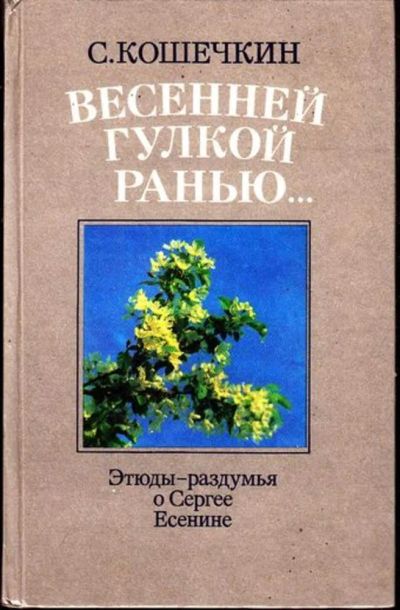 Лот: 23445056. Фото: 1. Весенней гулкой ранью | Этюды-раздумья... Мемуары, биографии