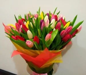 Лот: 5094091. Фото: 1. Букет из 51 шикарного тюльпана... Подарки на 8 марта