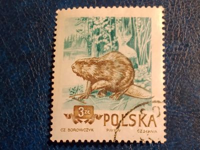 Лот: 25004121. Фото: 1. - Марки для Вашей коллекции. лот... Марки