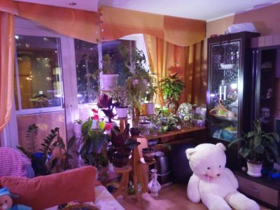 Лот: 4679295. Фото: 1. 3-х комнатная квартира ул. Кутузова... Квартиры, студии