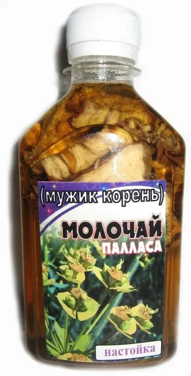 Мужик Корень Где Купить