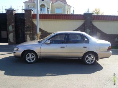Лот: 1204381. Фото: 1. Toyota Corolla. Автомобили