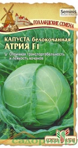 Лот: 11016941. Фото: 1. Семена капусты белокочанной "Атрия... Овощи