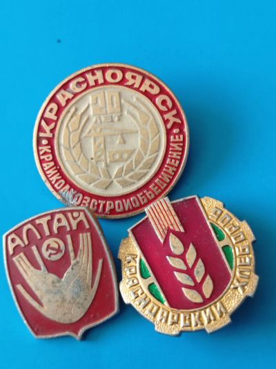 Лот: 20054494. Фото: 1. Значки. Хлебороб. Алтай. 20 лет... Сувенирные