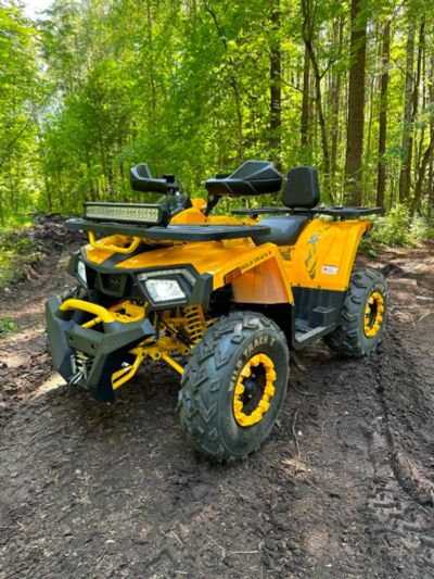 Лот: 24066165. Фото: 1. Квадроцикл ATV 200 WILD TRACK... Снегоходы, квадроциклы