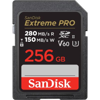 Лот: 21437602. Фото: 1. Карта памяти SanDisk 256GB Extreme... Карты памяти