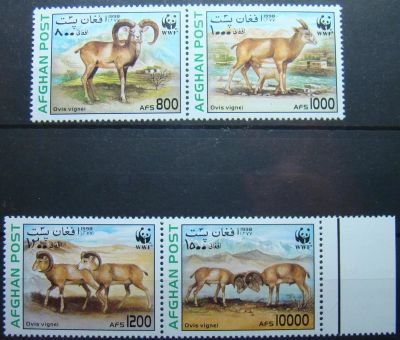 Лот: 10443750. Фото: 1. Афганистан 1998 MNH пс. Марки