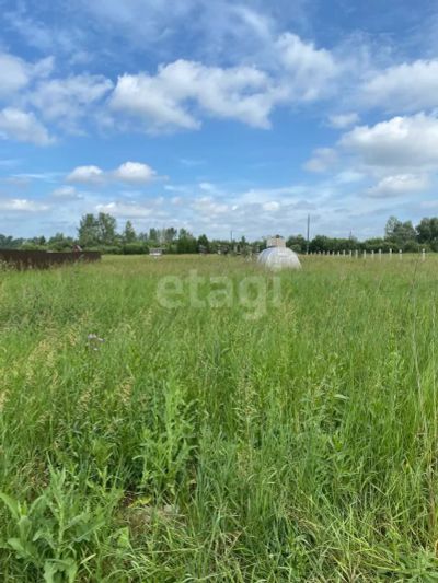 Лот: 25297165. Фото: 1. участок , ДНТ Жемчужный ДНТ Жемчужный... Земельные участки