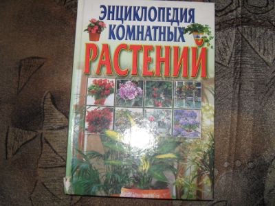 Лот: 18613530. Фото: 1. Энциклопедия комнатных растений. Энциклопедии