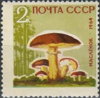 Лот: 18172363. Фото: 1. 1964, 30 ноября. Грибы. н.с... Марки