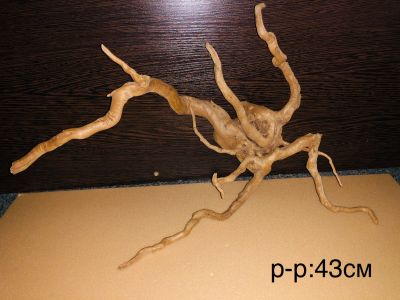 Лот: 18628285. Фото: 1. Коряга корень Сакуры 43 см. Грунты, украшения, наполнения