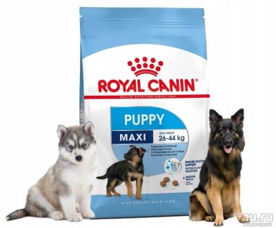 Лот: 16747695. Фото: 1. Royal Canin Maxi Puppy (Роял Канин... Корма