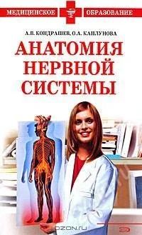Лот: 1501264. Фото: 1. "Анатомия нервной системы", Кондрашев... Другое (медицина и здоровье)